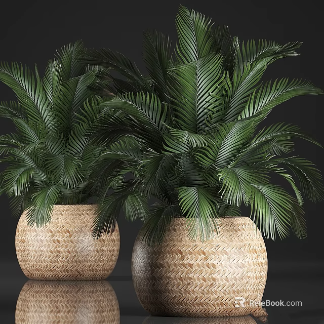 Green Palm Leaf Bonsai Potted Plants In Woven Basket Planters For Home Decor 3d model 