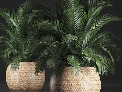 Green Palm Leaf Bonsai Potted Plants In Woven Basket Planters For Home Decor 3d model