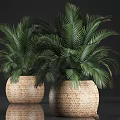 Green Palm Leaf Bonsai Potted Plants In Woven Basket Planters For Home Decor