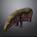 Brown Hippopotamus 3D Model With Textured Surface Standing On Dark Background And Reflection