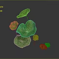 Green Lotus Leaves With Various Sizes And Vibrant Fresh Look On Gray Background