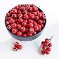 Fresh Red Berries in Black Bowl With Scattered and Branch Attached Berries on White Background