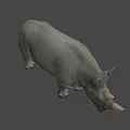 Detailed Realistic 3D Rhinoceros Model With Horns Standing On Black Background