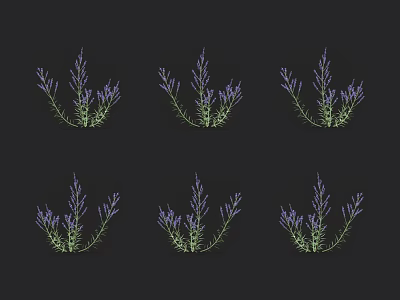 Six Blooming Purple Lavender Plants With Green Stems On Black Background 3d model