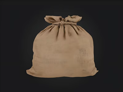 sack bag package 3d model