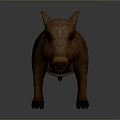 Wild Boar 3D Model With Brown Fur And Sharp Tusks In Standing Posture