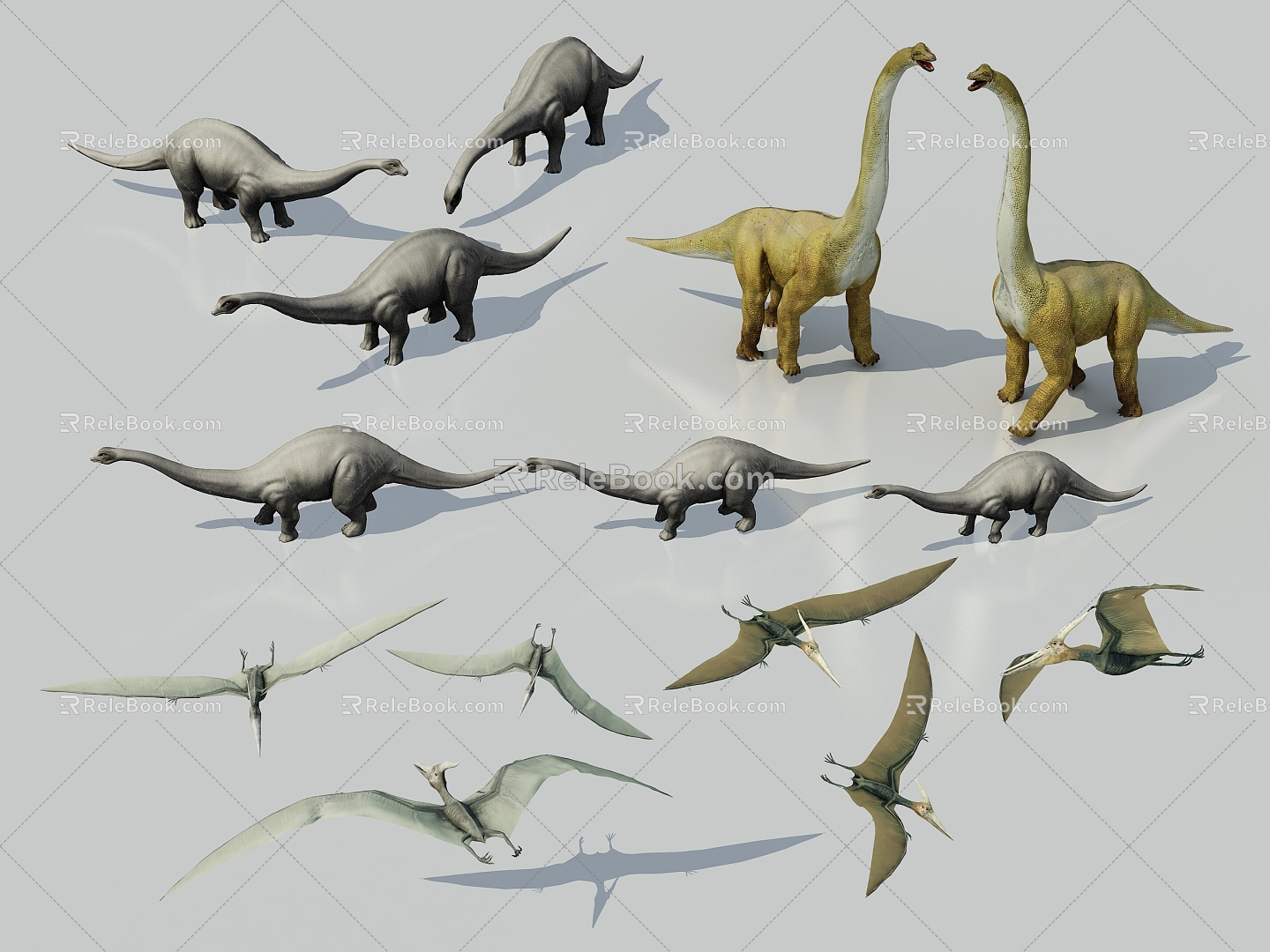 Dinosaur Pterosaur Longnecked Dinosaur 3d model