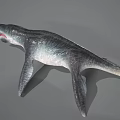 Realistic Aquatic Animal With Long Snout Sharp Teeth Large Fins And Streamlined Body Model