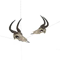 Two Decorative Antelope Skulls With Long Curved Horns On White Background