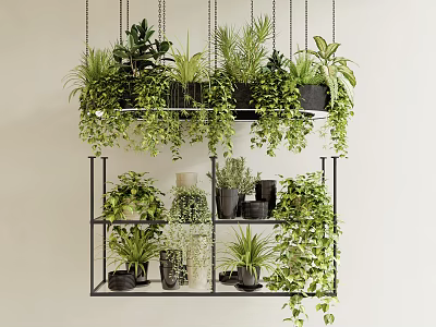 Elegant Hanging Basket Plants with Greenery on Black Metal Shelf and Potted Foliage 3d model
