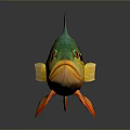Colorful Aquatic Fish With Green Body Black Stripes Red Fins Eyes On Gray Background Reflection
