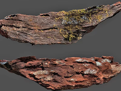 Decorative Ornament Set Featuring Wooden Pieces With Natural Texture And Moss Accents 3d model