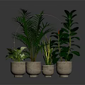 Lush Potted Indoor Plants With Different Leaf Shapes In Light Brown Pots On Dark Surface