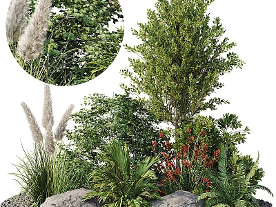 Lush Shrub Garden With Green Foliage Red Flowers Stones And Natural Greenery 3d model