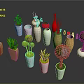 Colorful Decorative Vases With Green Plants In Different Shapes And Sizes