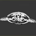 White Turtle Like Anatomical Organ And Hair Structure With Spiky Hair Projections