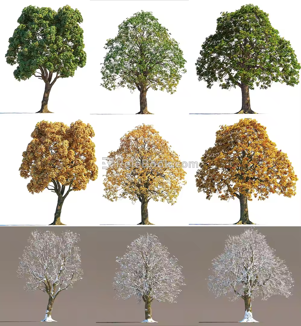 Tree Landscape Tree Big Tree Spring Summer Autumn Winter Tree Four Seasons Tree Autumn Tree Winter Tree Snow Tree 3d model