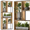 Stylish Indoor Garden Plant Display With Wooden Shelves Gray Planters And Various Green Plants