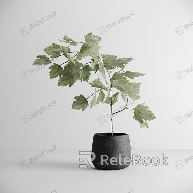 plant potted plant green plant potted plant model