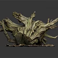 Lush Green Plants Growing On Weathered Driftwood With Natural Gravel Base