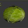 Fresh Green Cabbage With Crisp Wrinkled Leaves On Dark Reflective Surface