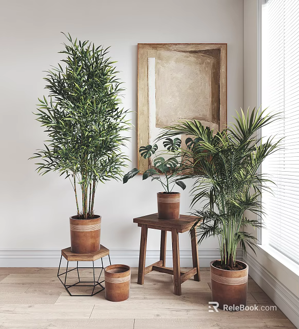 Potted Plants Indoor Decor With Bamboo Monstera Palm On Wooden Stools And Shelves 3d model 