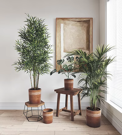 Potted Plants Indoor Decor With Bamboo Monstera Palm On Wooden Stools And Shelves 3d model