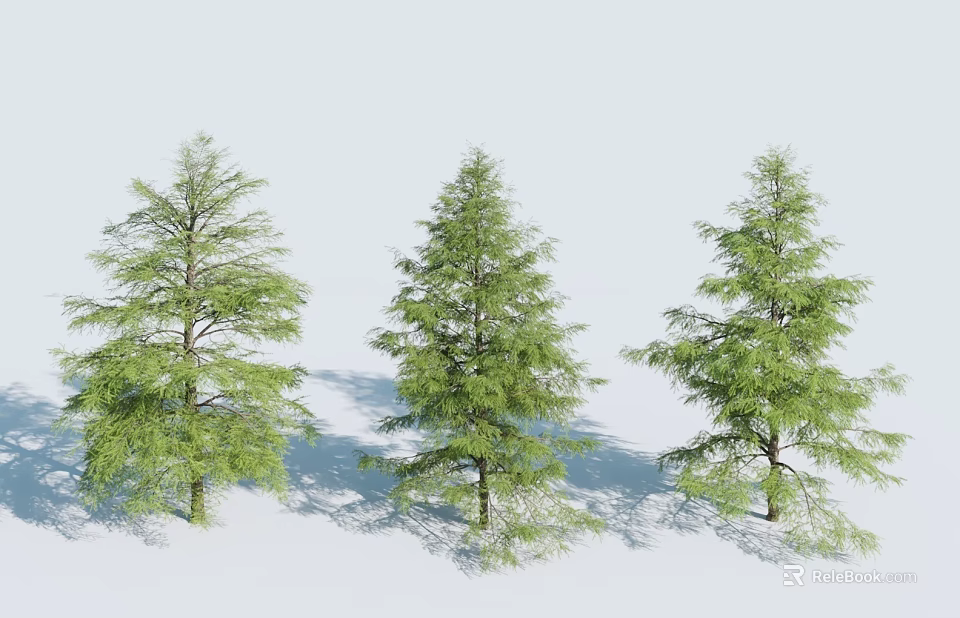 Three Evergreen Trees With Lush Green Foliage Against White Snowy Background 3d model 