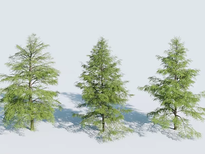 Three Evergreen Trees With Lush Green Foliage Against White Snowy Background 3d model