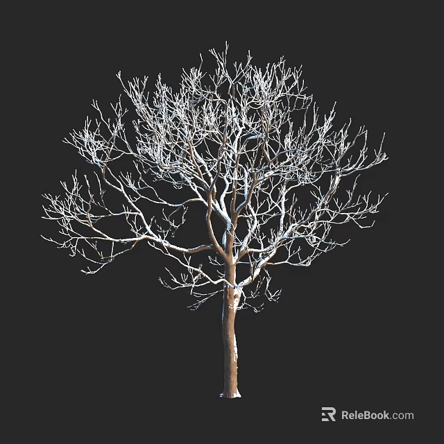 Winter Deciduous Tree With Leafless Branches And White Frost On Black Background 3d model