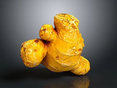 Fresh Organic Ginger Root Plant With Natural Yellow Skin And Healthy Texture 3d model