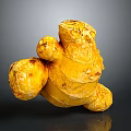 Fresh Organic Ginger Root Plant With Natural Yellow Skin And Healthy Texture