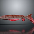 Graceful Red Spotted Fish Swimming On Dark Background With Clear Reflection