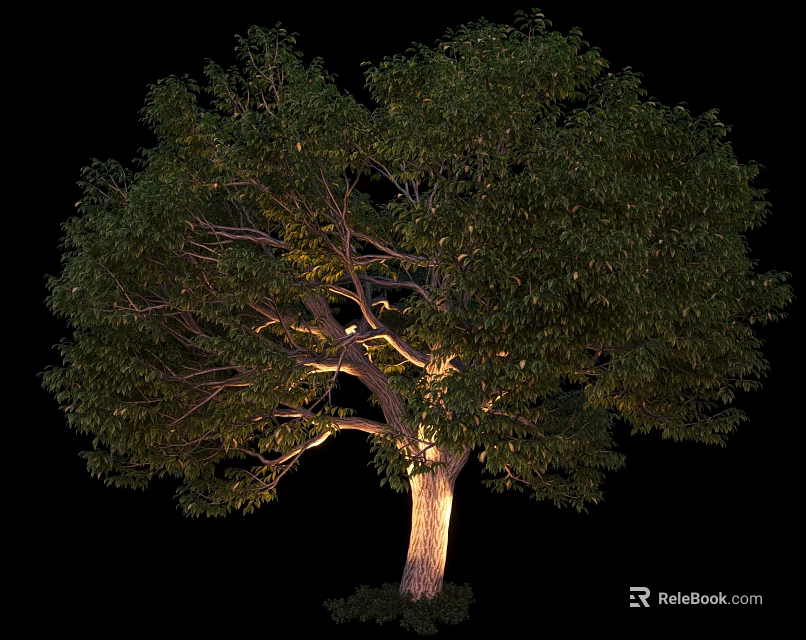 Lush Arbor Showcasing Dense Green Foliage Strong Trunk and Natural Shape Isolated on Black Background 3d model 