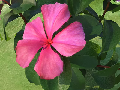 Pink Flower With Green Leaves And Fresh Petals In Natural View 3d model