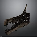 Ancient Dinosaur Skull Fossil With Sharp Teeth And Horn Structure On Dark Background