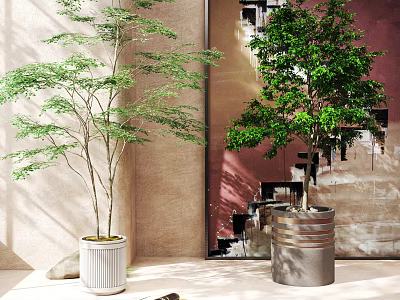 Indoor Decorative Potted Plants With White Ceramic And Metallic Containers In Bright Interior 3d model
