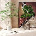 Indoor Decorative Potted Plants With White Ceramic And Metallic Containers In Bright Interior