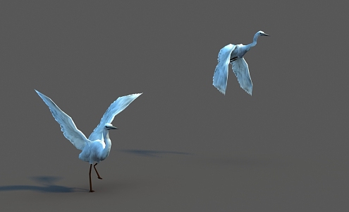 Modern Egret 3d model