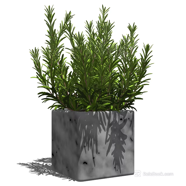 Lush Green Potted Plant In Gray Square Concrete Pot With Vibrant Foliage 3d model 