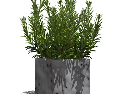 Lush Green Potted Plant In Gray Square Concrete Pot With Vibrant Foliage 3d model