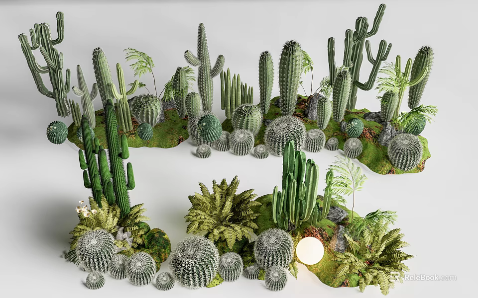 Various Types of Succulent Plants With Different Shapes and Green Foliage 3d model 