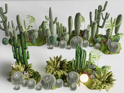 Various Types of Succulent Plants With Different Shapes and Green Foliage 3d model