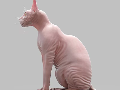 Pink Reptile Lizard with Smooth Skin Sitting on Grey Background Surface 3d model