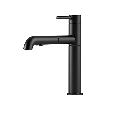 Black Modern Faucet with Tall Body Curved Spout and Single Handle 3d model
