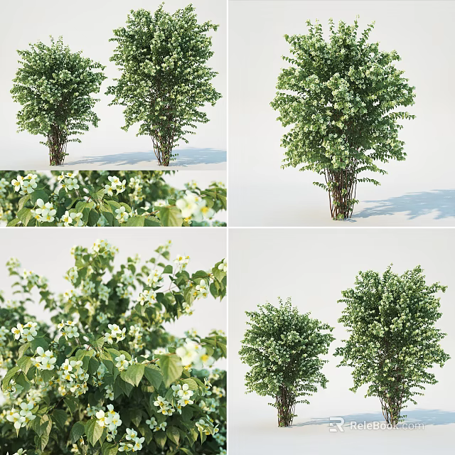 Green Leafy Shrubs With White Flowers And Lush Foliage For Garden 3d model 