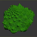 Green Spherical Animal With Intricate Fractal Surface Patterns And Textures