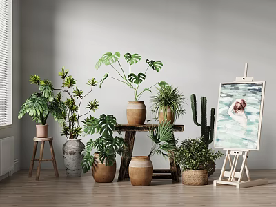Various Indoor Potted Green Plants in Ceramic and Woven Pots with Monstera Cactus 3d model