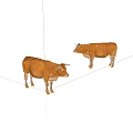 Two Brown Cows Standing On White Background With Realistic Fur Details 3d model