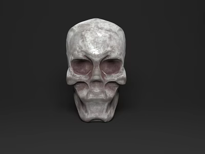 Medical Skull Model For Anatomical Teaching And Healthcare Training Applications 3d model
